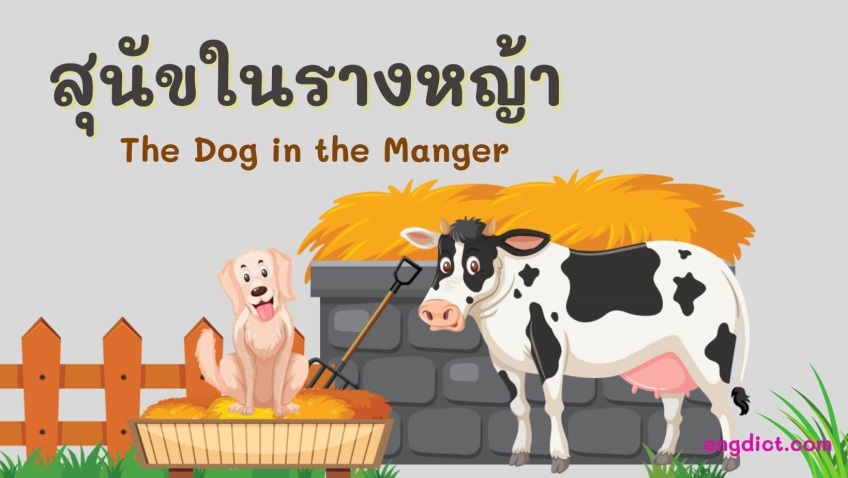 สุนัขในรางหญ้า | The Dog in the Manger